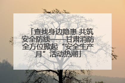 查找身边隐患 共筑安全防线——甘肃消防全方位掀起“安全生产月”活动热潮