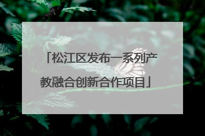 松江区发布一系列产教融合创新合作项目