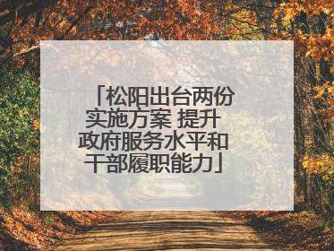 松阳出台两份实施方案 提升政府服务水平和干部履职能力