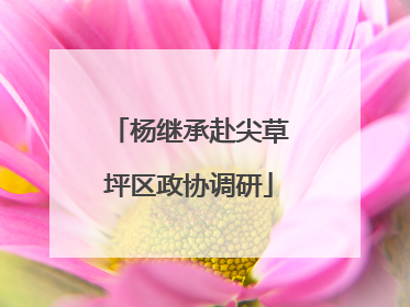 杨继承赴尖草坪区政协调研
