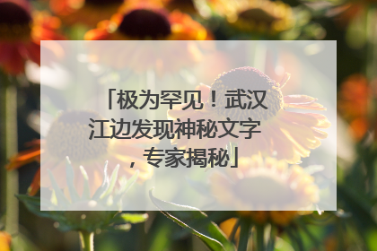 极为罕见！武汉江边发现神秘文字，专家揭秘