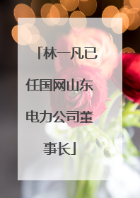 林一凡已任国网山东电力公司董事长