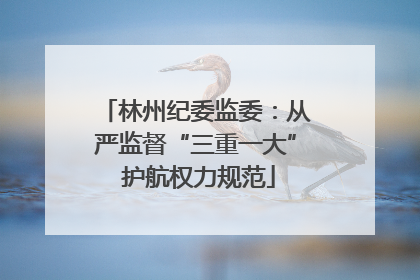 林州纪委监委：从严监督“三重一大” 护航权力规范