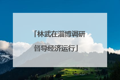 林武在淄博调研督导经济运行