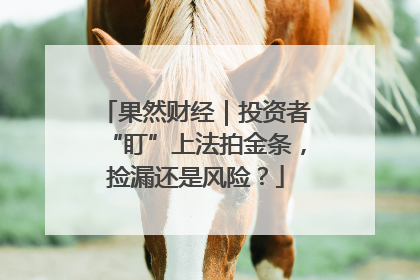 果然财经｜投资者“盯”上法拍金条，捡漏还是风险？