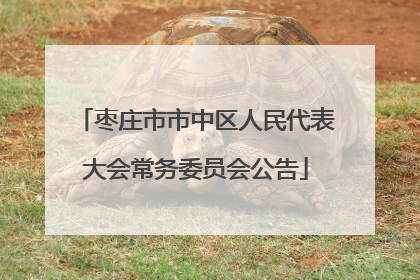 枣庄市市中区人民代表大会常务委员会公告