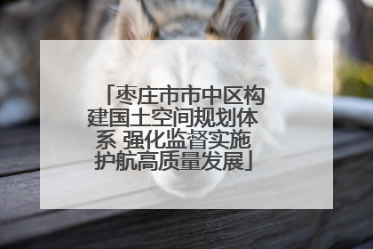 枣庄市市中区构建国土空间规划体系 强化监督实施护航高质量发展