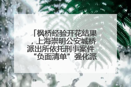 枫桥经验开花结果，上海崇明公安城桥派出所依托刑事案件“负面清单”强化派出所“主防”