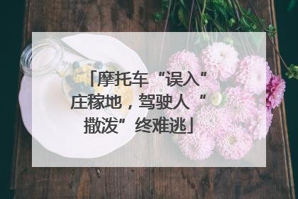 摩托车“误入”庄稼地，驾驶人“撒泼”终难逃