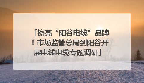 擦亮“阳谷电缆”品牌！市场监管总局到阳谷开展电线电缆专题调研