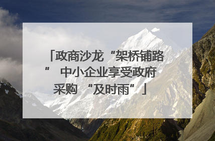 政商沙龙“架桥铺路” 中小企业享受政府采购 “及时雨”