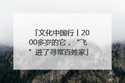 文化中国行丨2000多岁的它，“飞”进了寻常百姓家
