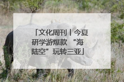 文化周刊丨今夏研学游爆款 “海陆空”玩转三亚