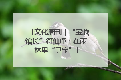 文化周刊｜“宝藏馆长”符仙瑾：在雨林里“寻宝”