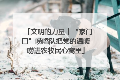 文明的力量丨“家门口”唠嗑队把党的温暖唠进农牧民心窝里