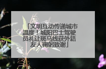 文明互动传递城市温度！城阳巴士驾驶员礼让斑马线获外籍友人鞠躬致谢
