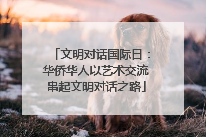文明对话国际日：华侨华人以艺术交流串起文明对话之路