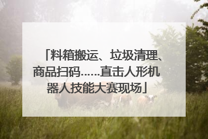 料箱搬运、垃圾清理、商品扫码……直击人形机器人技能大赛现场