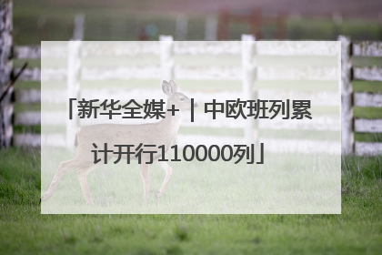 新华全媒+｜中欧班列累计开行110000列