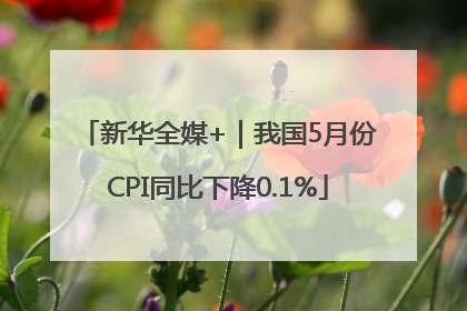 新华全媒+｜我国5月份CPI同比下降0.1%