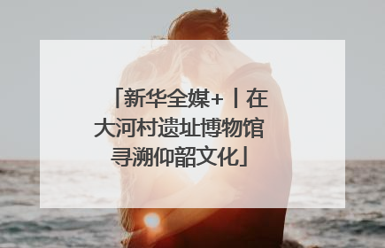 新华全媒+丨在大河村遗址博物馆寻溯仰韶文化