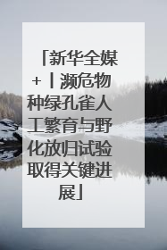新华全媒+丨濒危物种绿孔雀人工繁育与野化放归试验取得关键进展
