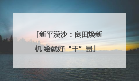 新平漠沙：良田焕新机 绘就好“丰”景