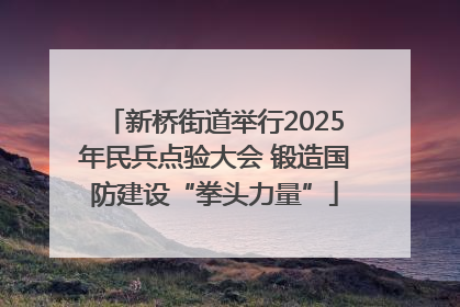 新桥街道举行2025年民兵点验大会 锻造国防建设“拳头力量”