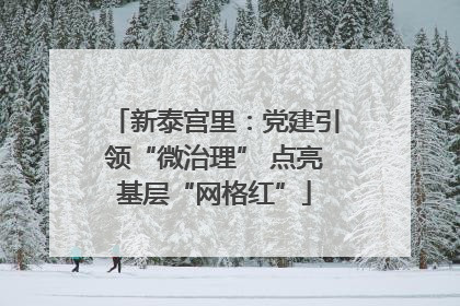 新泰宫里：党建引领“微治理” 点亮基层“网格红”