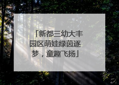 新都三幼大丰园区萌娃绿茵逐梦，童趣飞扬