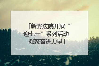 新野法院开展“迎七一”系列活动 凝聚奋进力量