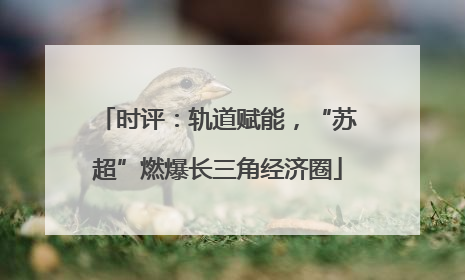 时评：轨道赋能，“苏超”燃爆长三角经济圈