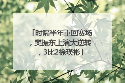 时隔半年重回赛场，樊振东上演大逆转，3比2徐瑛彬