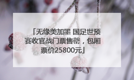无缘美加墨 国足世预赛收官战门票售罄，包厢票价25800元