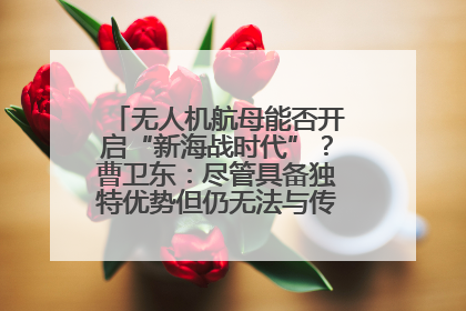 无人机航母能否开启“新海战时代”？曹卫东：尽管具备独特优势但仍无法与传统航母相提并论
