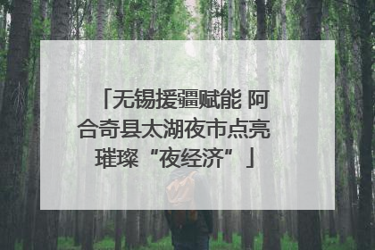 无锡援疆赋能 阿合奇县太湖夜市点亮璀璨“夜经济”