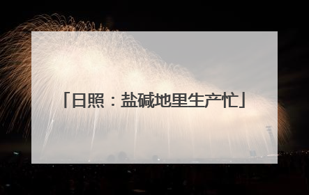 日照：盐碱地里生产忙