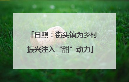 日照：街头镇为乡村振兴注入“甜”动力