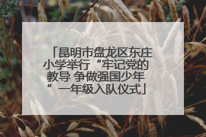 昆明市盘龙区东庄小学举行“牢记党的教导 争做强国少年”一年级入队仪式