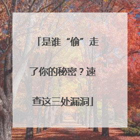 是谁“偷”走了你的秘密？速查这三处漏洞