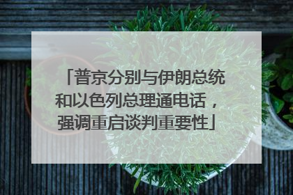 普京分别与伊朗总统和以色列总理通电话，强调重启谈判重要性