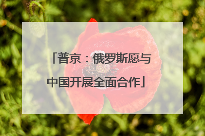 普京：俄罗斯愿与中国开展全面合作