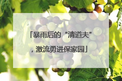 暴雨后的“清道夫”，激流勇进保家园