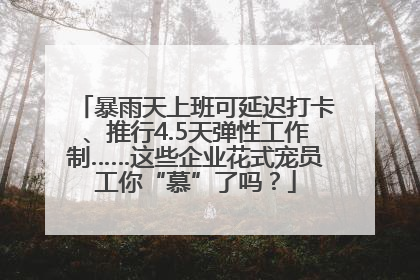 暴雨天上班可延迟打卡、推行4.5天弹性工作制……这些企业花式宠员工你“慕”了吗？
