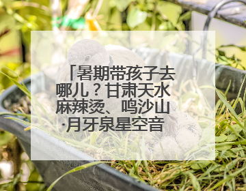 暑期带孩子去哪儿？甘肃天水麻辣烫、鸣沙山·月牙泉星空音乐会请你来