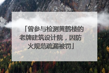 曾参与检测黄鹤楼的老牌建筑设计院，因防火规范疏漏被罚