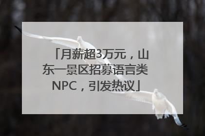 月薪超3万元，山东一景区招募语言类NPC，引发热议