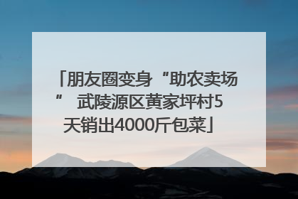 朋友圈变身“助农卖场” 武陵源区黄家坪村5天销出4000斤包菜