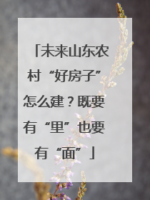 未来山东农村“好房子”怎么建？既要有“里”也要有“面”