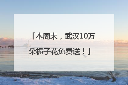 本周末，武汉10万朵栀子花免费送！